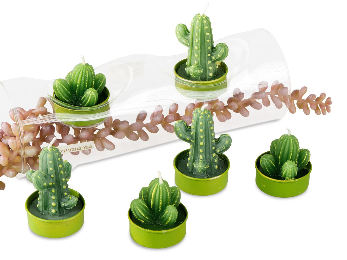 6er Set Teelichter Motivkerzen Kerzen Rosen Kakteen Calla Pfingstrose Formano