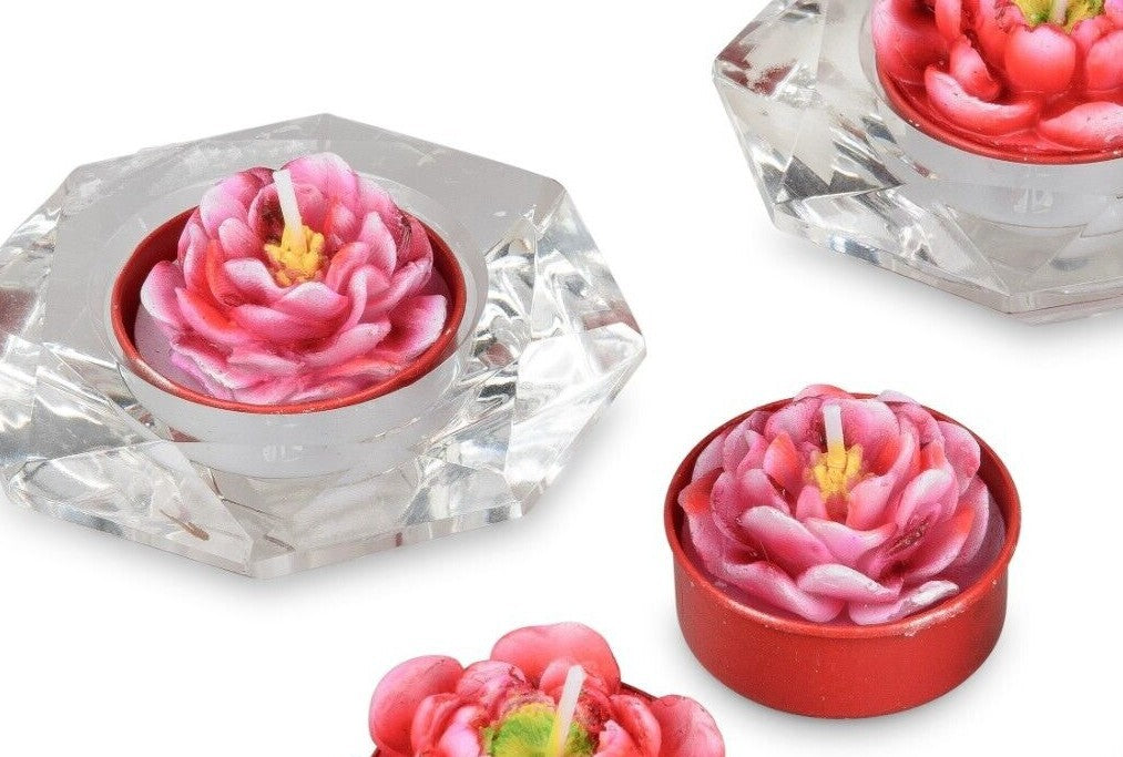 6er Set Teelichter Motivkerzen Kerzen Rosen Kakteen Calla Pfingstrose Formano
