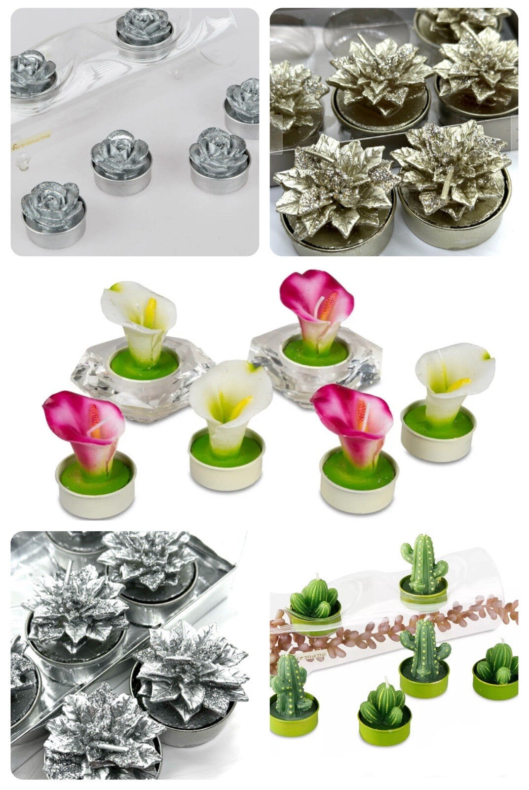 6er Set Teelichter Motivkerzen Kerzen Rosen Kakteen Calla Pfingstrose Formano