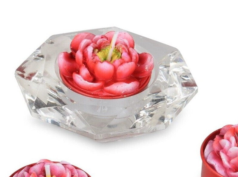 6er Set Teelichter Motivkerzen Kerzen Rosen Kakteen Calla Pfingstrose Formano