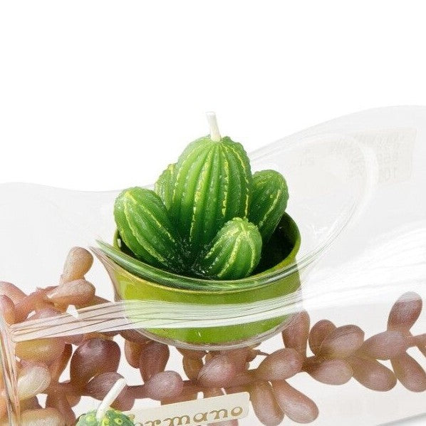 6er Set Teelichter Motivkerzen Kerzen Rosen Kakteen Calla Pfingstrose Formano