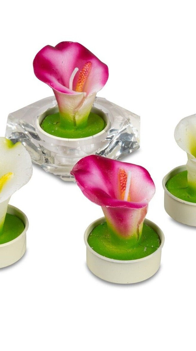 6er Set Teelichter Motivkerzen Kerzen Rosen Kakteen Calla Pfingstrose Formano