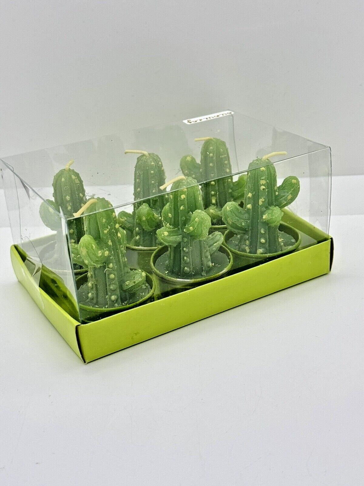 6er Set Teelichter Motivkerzen Kerzen Rosen Kakteen Calla Pfingstrose Formano
