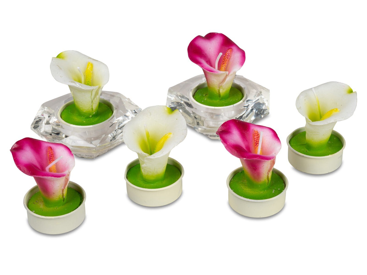 6er Set Teelichter Motivkerzen Kerzen Rosen Kakteen Calla Pfingstrose Formano