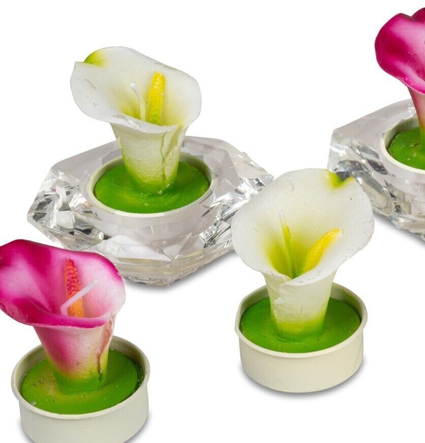 6er Set Teelichter Motivkerzen Kerzen Rosen Kakteen Calla Pfingstrose Formano