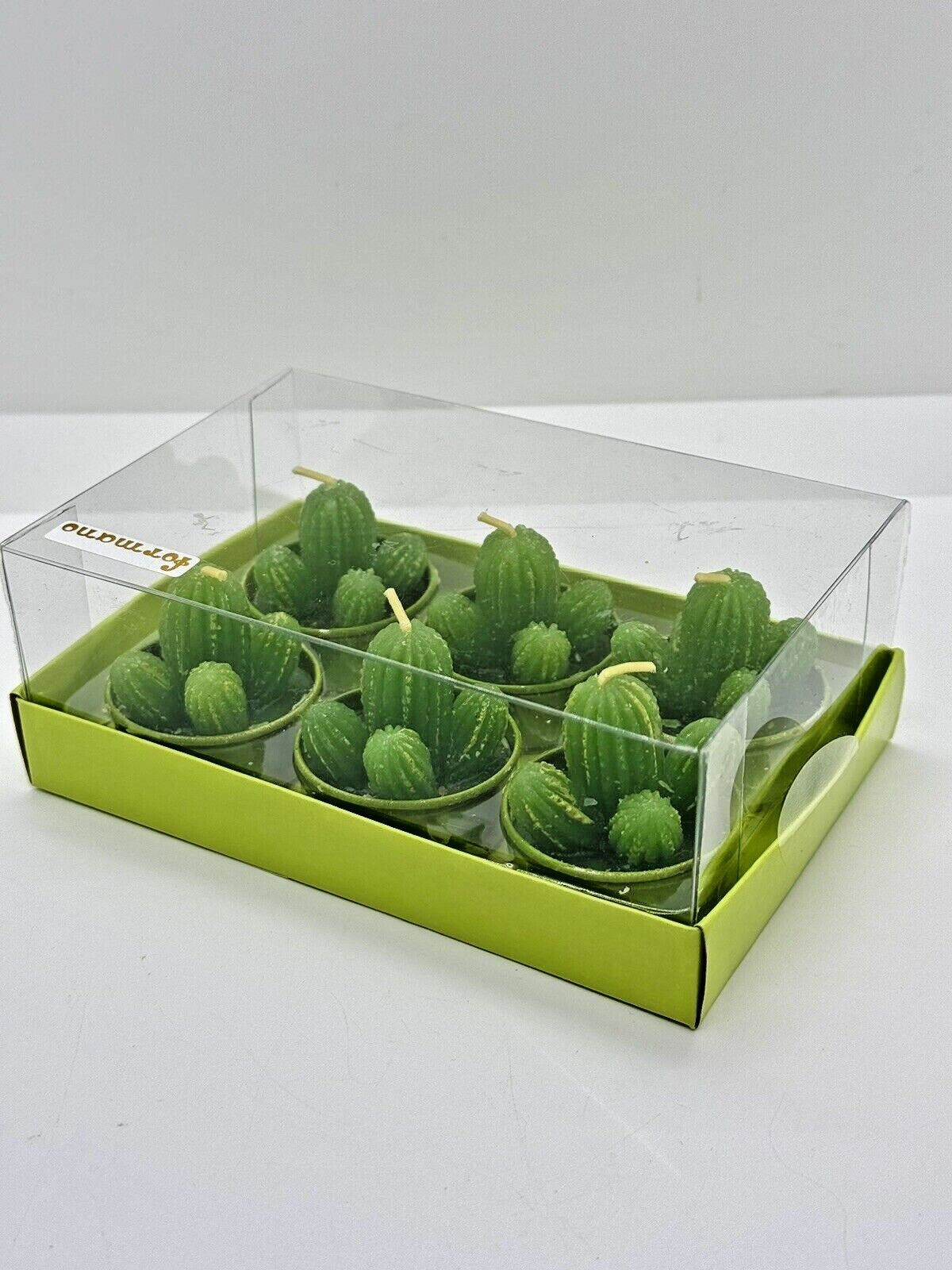 6er Set Teelichter Motivkerzen Kerzen Rosen Kakteen Calla Pfingstrose Formano