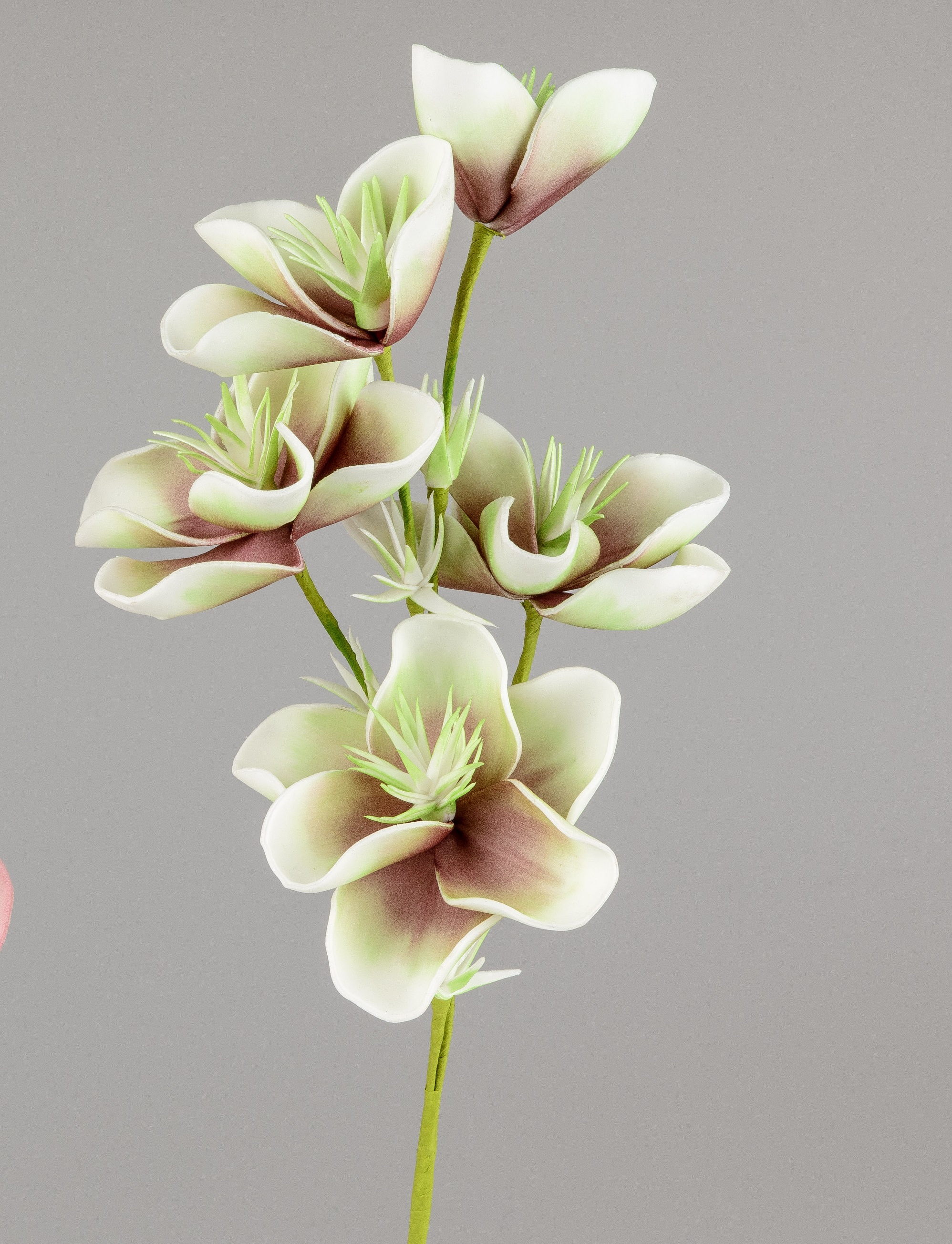 Deko Blütenzweig 45cm grün  Kunstblumen Kunstpflanzen Formano