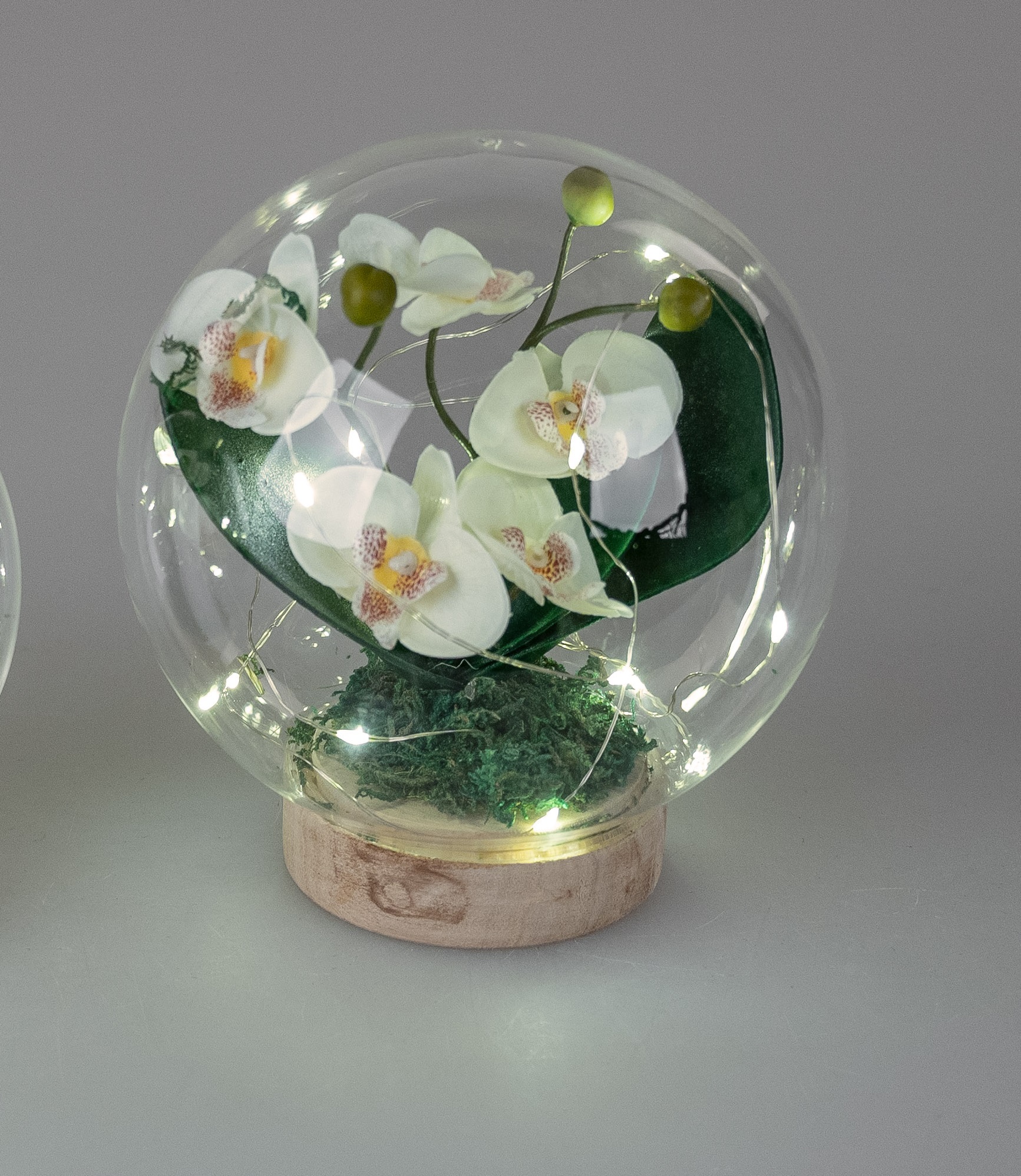 Künstliche Orchidee mit Glasglocke auf Holzsockel, mit Timer und LED-Licht 17cm Formano 