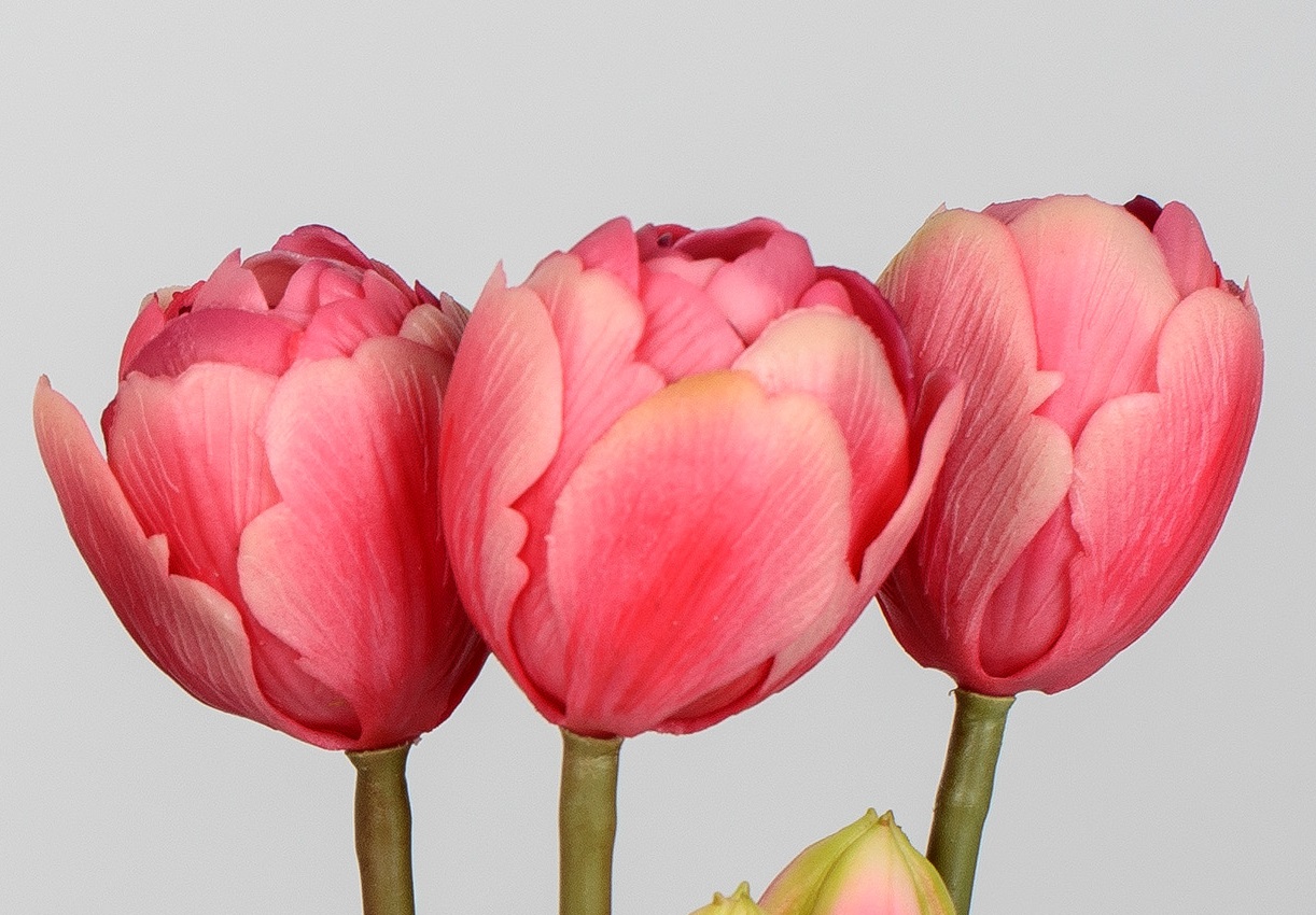 Künstliche Set 5 Stück Tulpenbündel 27cm rosa Kunststoff Real Touch Tischdeko Kunstblumen formano F24