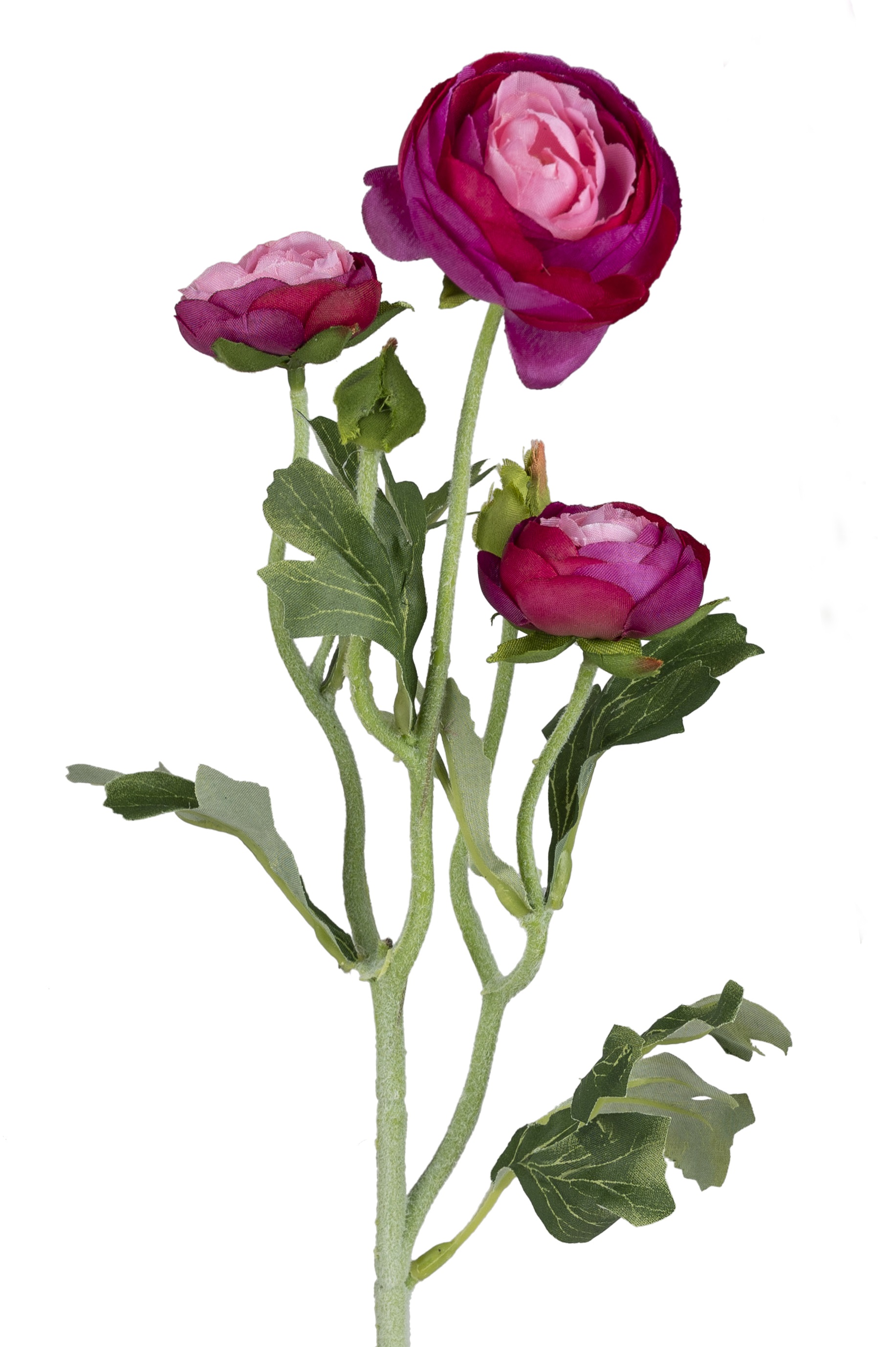 Künstliche Ranunkel lila Hahnenfuß mit 3 Blüten H. 50cm Formano