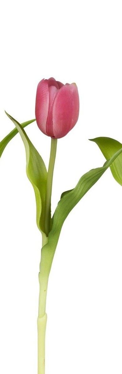 Künstliche Tulpe rosa 30cm Kunststoff Real Touch Tischdeko Kunstblumen formano