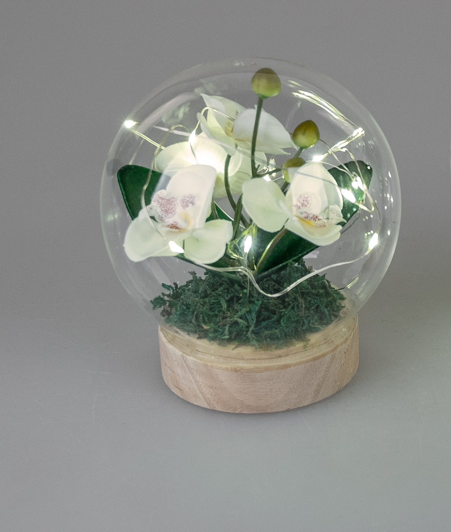 Künstliche Orchidee mit Glasglocke auf Holzsockel, mit Timer und LED-Licht 13cm Formano 