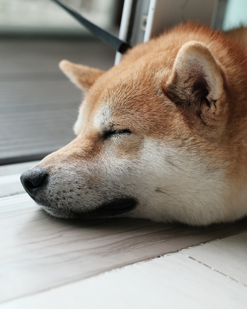 Tischgirlande "Eucalyptus" 180cm